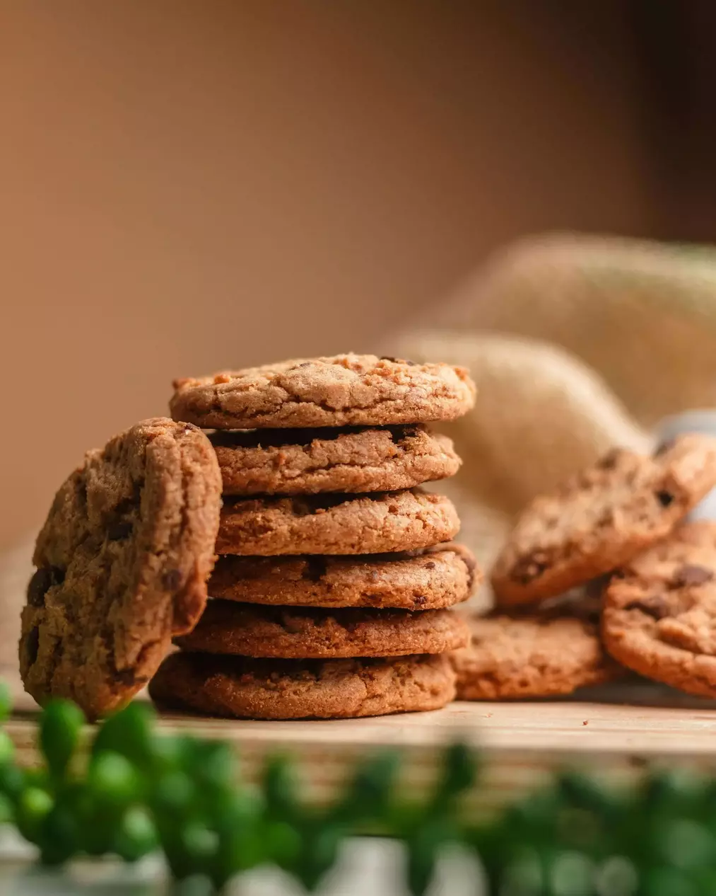 Butterscotch and Chocolate Chip Cookies - San Diego Mediterranean Catering